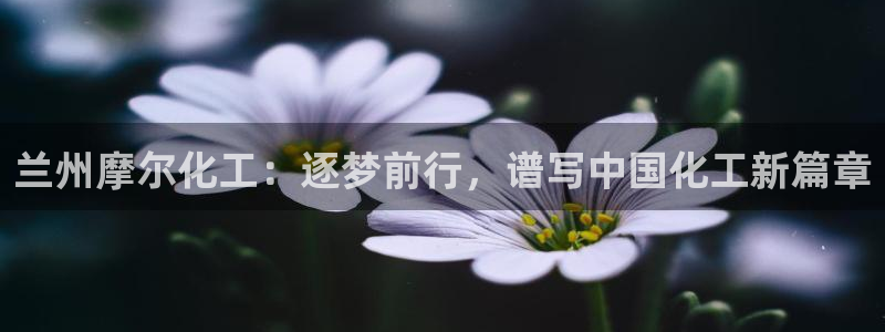 球盟会APP下载