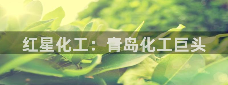 球盟会乐虎