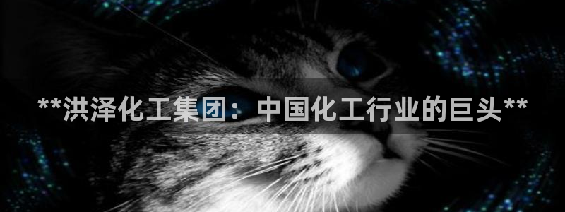 球盟会综合app下载