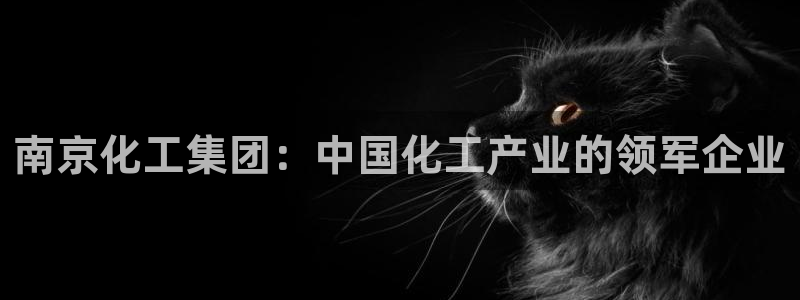 球盟会黑