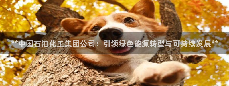 球盟会登录网址