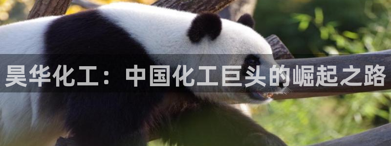 球盟会乐虎