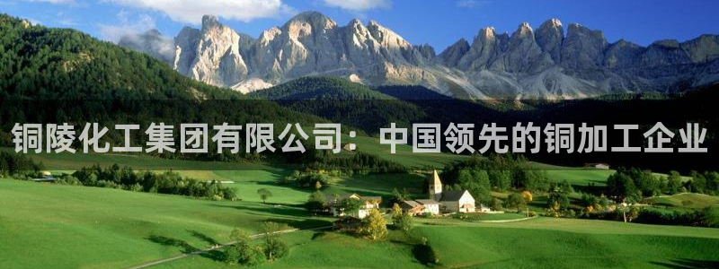 球盟会和中欧会的区别