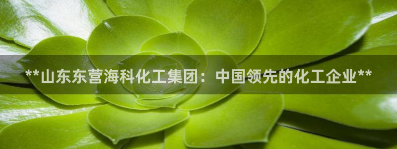 球盟会qmh官网