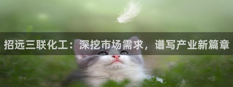 球盟会在线官网