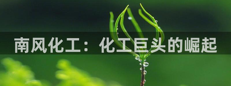 球盟会下款快吗