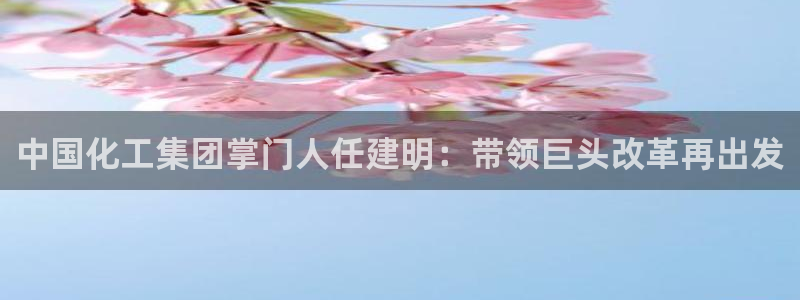 球盟会app手机登录