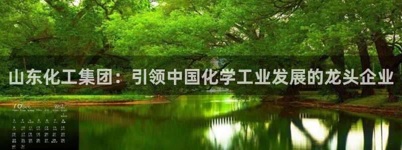 球盟会用的客服聊天是哪个软件