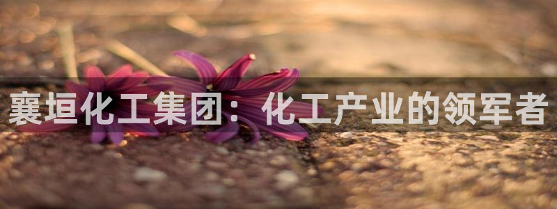 球盟会论坛