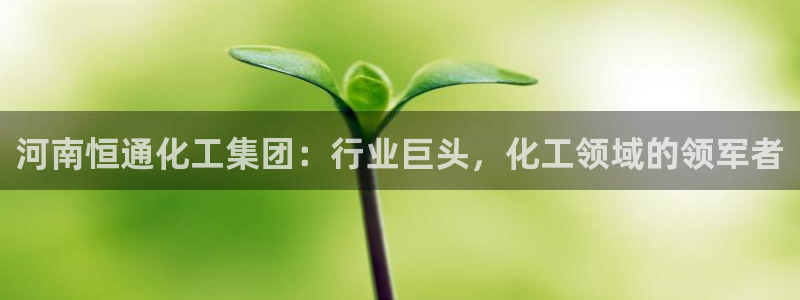 千亿球盟会乐玩