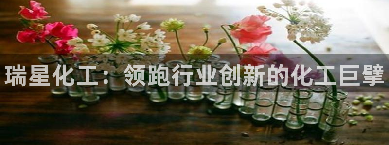 球盟会几点玩合适