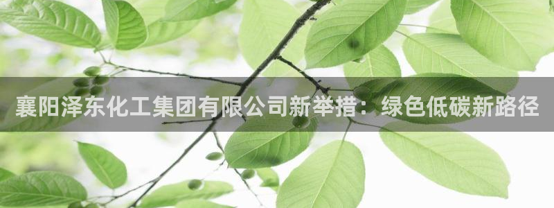 球盟会官方下载