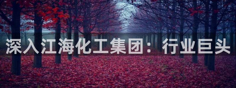 球盟会封禁