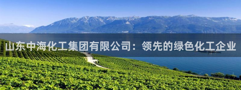 球盟会可以提现么