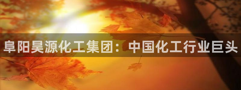 球盟会qmh