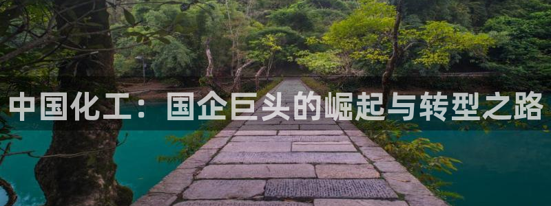 球盟会登陆
