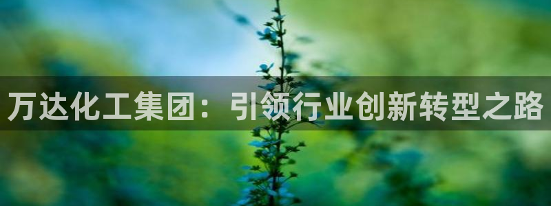 球盟会qmh - 球盟会官方网站