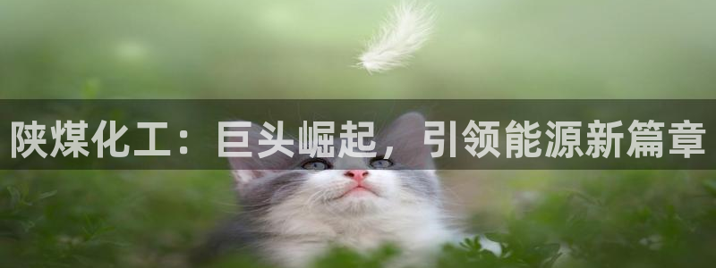 球盟会下款快吗