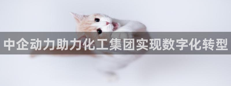 球盟会黑款吗知乎文章