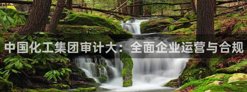 球盟会APP下载