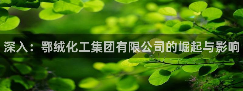 球盟会qm9