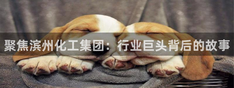 千亿球盟会