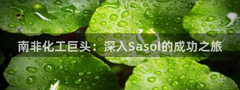 球盟会游戏