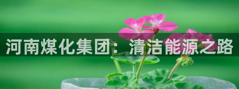 球盟会qmh网页版登录