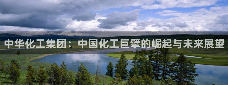 球盟会官方