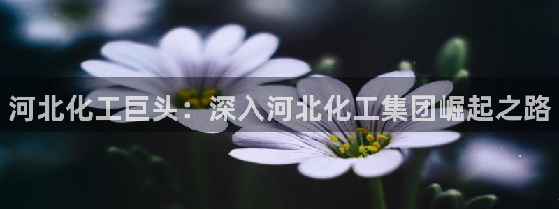 球盟会网址多少