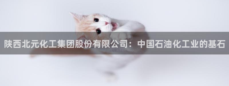 球盟会头号玩家：陕西北元化工集团股份有限公司：中国石油化工业