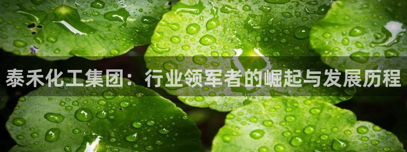 球盟会电子好黑