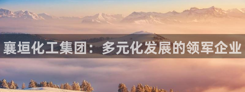 球盟会在线官网