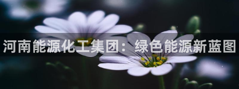 球盟会和中欧
