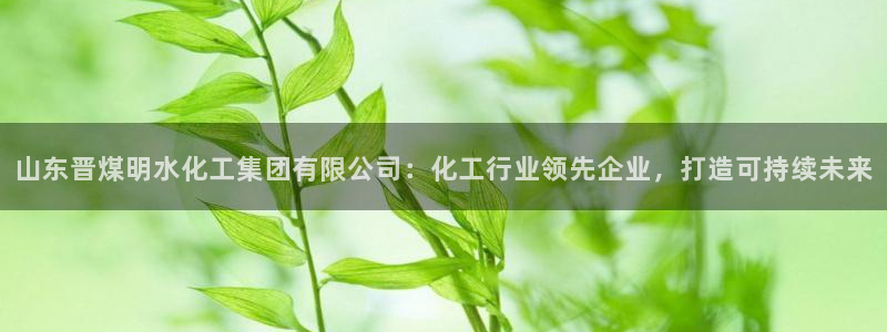 球盟会手机网页版：山东晋煤明水化工集团有限公司：化工行业领先