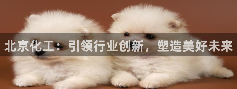 球盟会在线登入