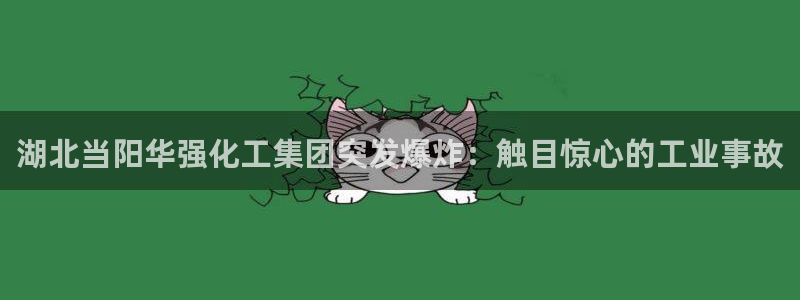 球盟会黑平台