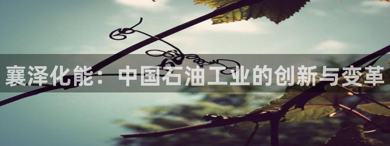 球盟会最新地址备用：襄泽化能：中国石油工业的创新与变革