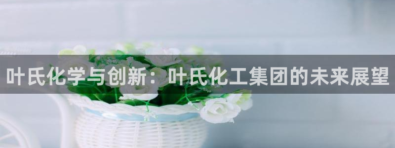球盟会：叶氏化学与创新：叶氏化工集团的未来展望