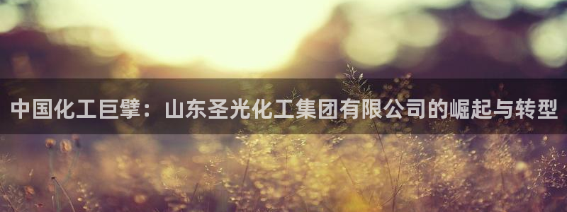 球盟会游戏：中国化工巨擘：山东圣光化工集团有限公司的崛起与转