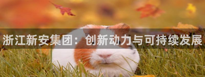 球盟会进不去球员吗：浙江新安集团：创新动力与可持续发展