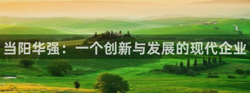 球盟会电子游戏平台：当阳华强：一个创新与发展的现代企业