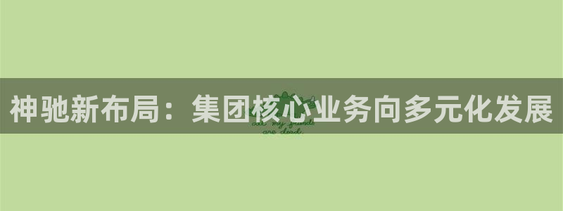 球盟会官方网页登录：神驰新布局：集团核心业务向多元化发展
