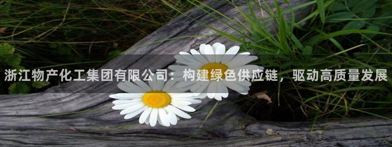 球盟会app网址多少号：浙江物产化工集团有限公司：构建绿色供