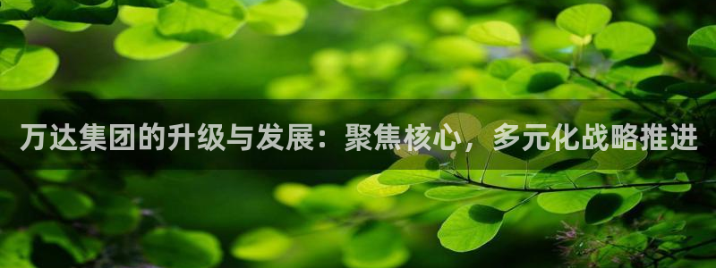 球盟会app最新地址下载：万达集团的升级与发展：聚焦核心，多