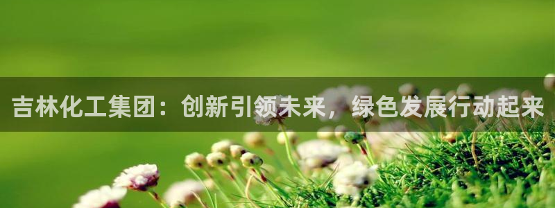 球盟会有没有黑单的人：吉林化工集团：创新引领未来，绿色发展行