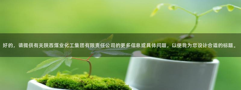 球盟会电子好黑：好的，请提供有关陕西煤业化工集团有限责任公司