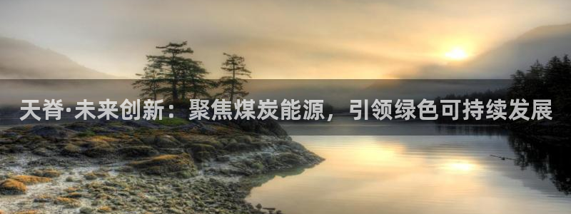 球盟会可以提现么是真的吗：天脊·未来创新：聚焦煤炭能源，引领