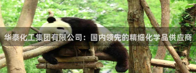 球盟会在线官网：华泰化工集团有限公司：国内领先的精细化学品供