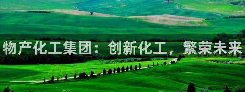 球盟会黑平台：物产化工集团：创新化工，繁荣未来